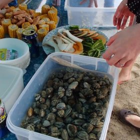 アウトドアサークルナッツベリー